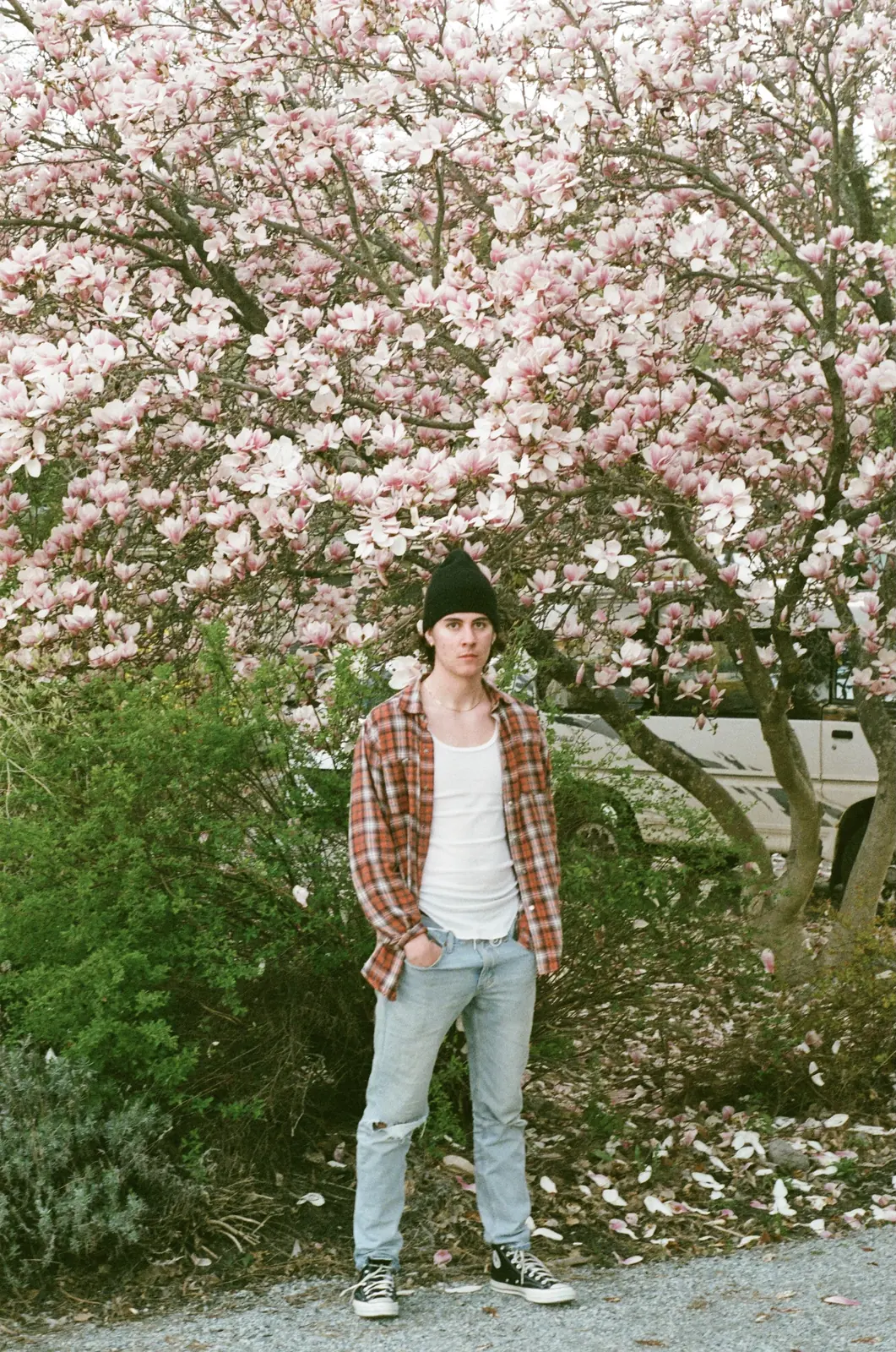 Portrait beneath flowering tree branches
